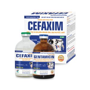 Bộ sản phẩm Cefaxim