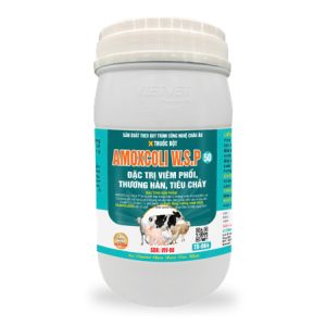 Sản phẩm AMOXCOLI W.S.P 50