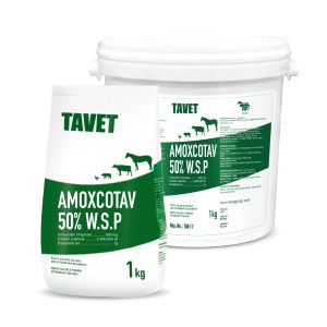 Sản phẩm AMOXCOTAV 50% W.S.P