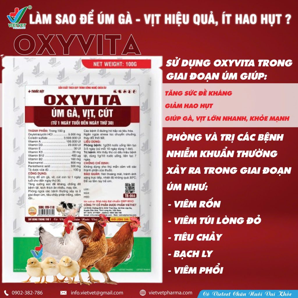 Thuốc úm gà vịt oxyvita