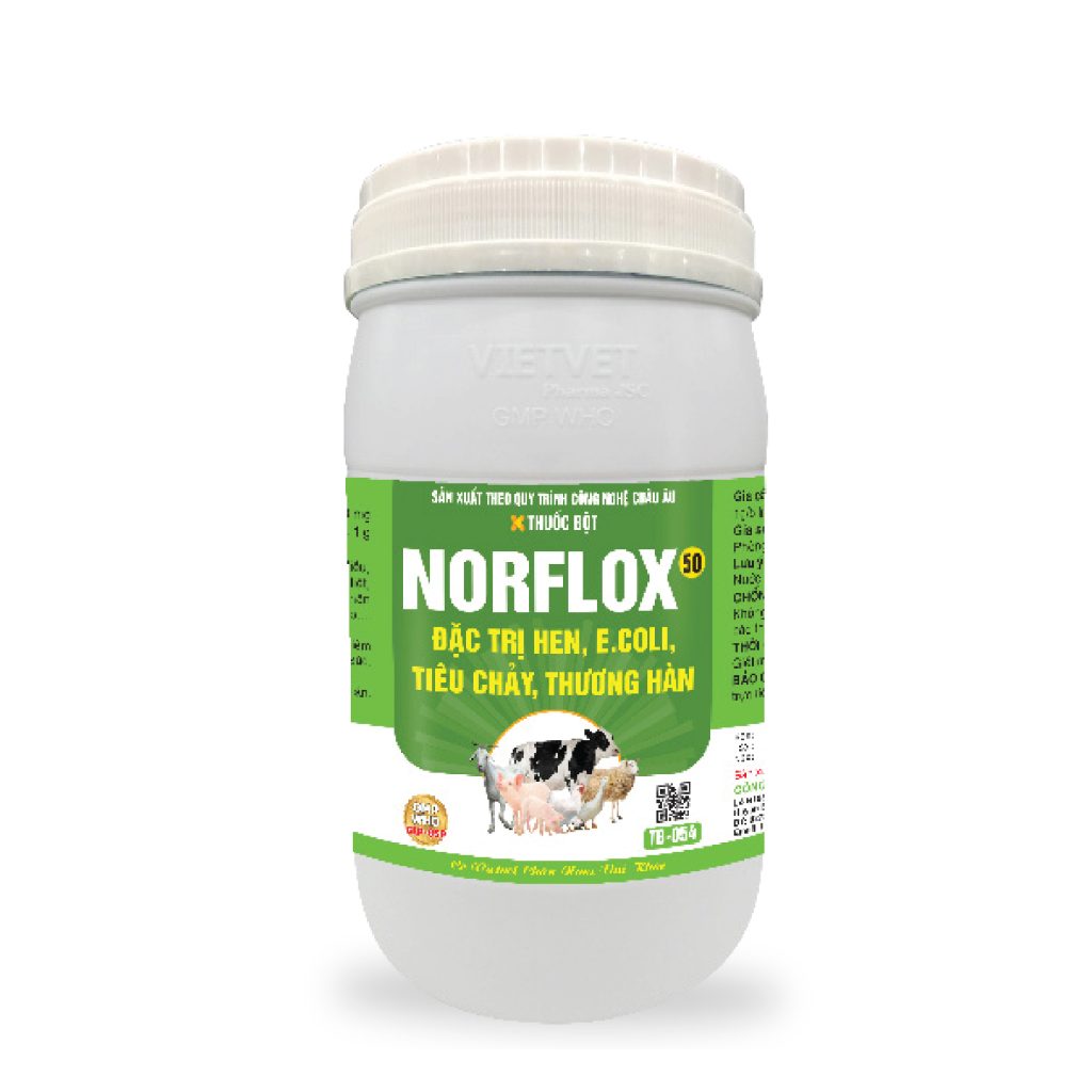 Sản phẩm NORFLOX 50