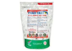 Sản phẩm PRAZI-FAST 10 