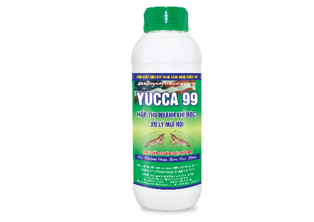 Sản phẩm YUCCA 99