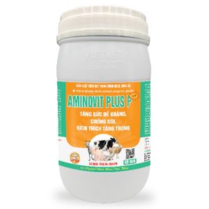 AMINOVIT PLUS P: Tăng sức đề kháng, chống còi cọc, kích thích tăng trọng