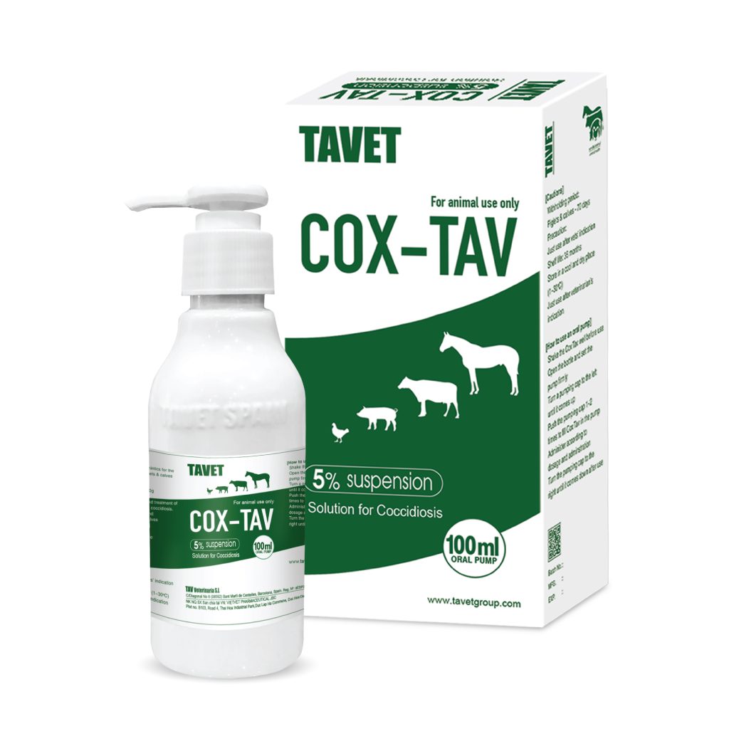 Sản phẩm cox-tav