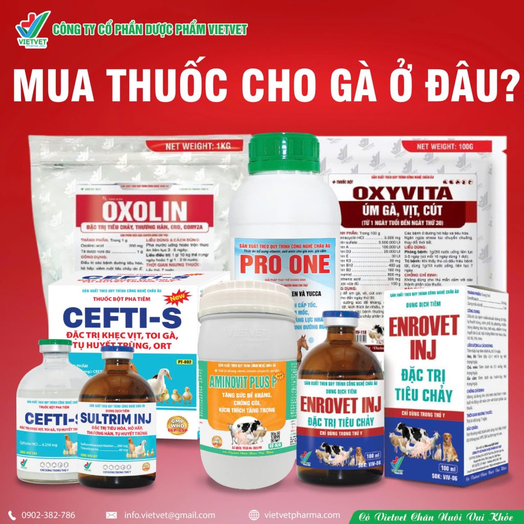 Mua thuốc cho gà ở đâu