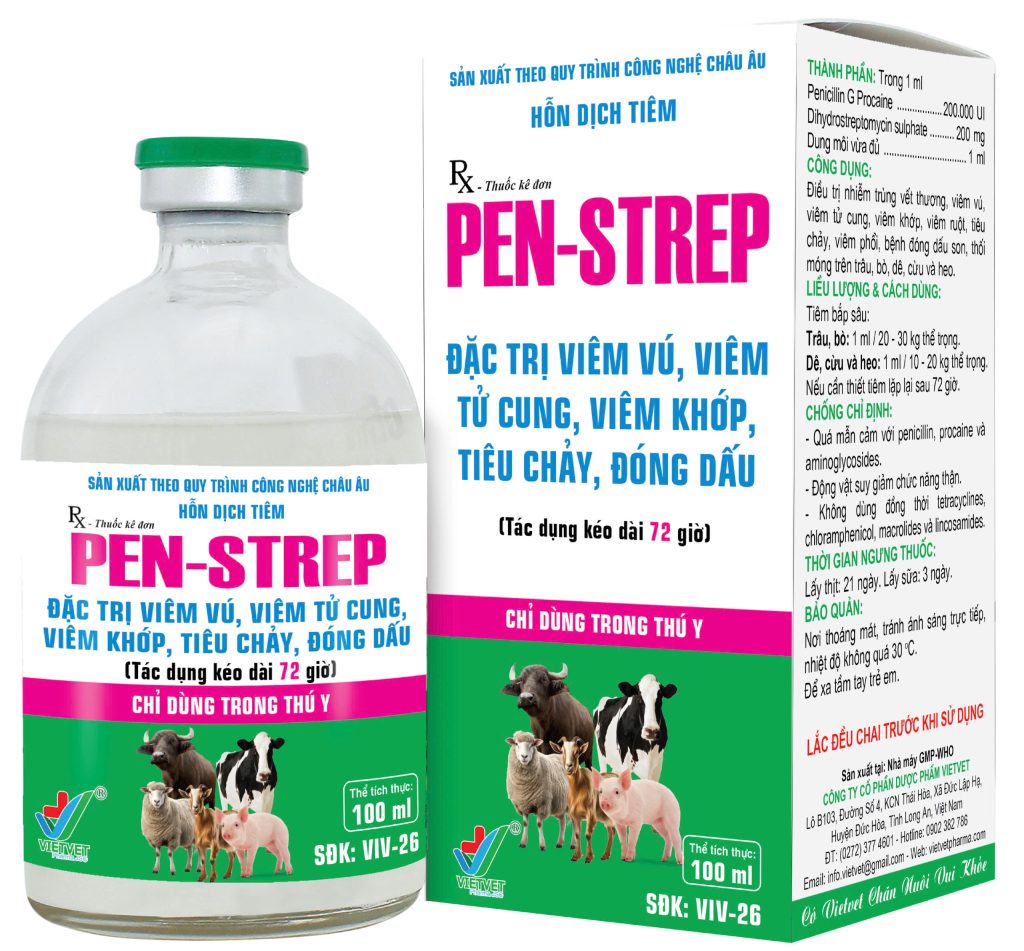 PEN-Strep chuyên đặc trị viêm vú, viêm tử cung, viêm khớp, tiêu chảy, đóng dấu.