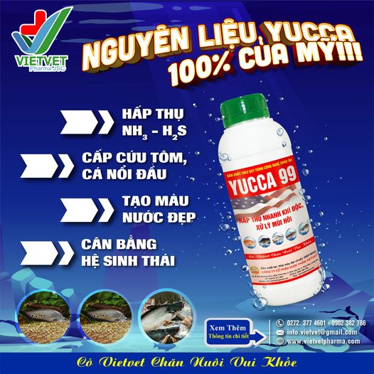 Yucca 99 cải thiện chất lượng môi trường nước và ngăn ngừa bệnh tật