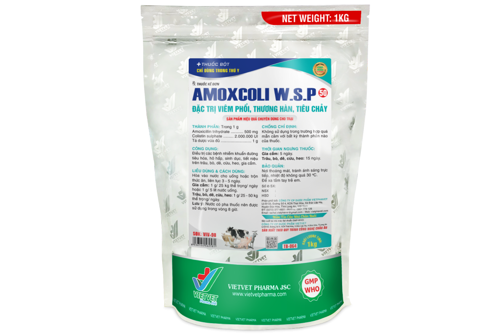 Amoxcoli W.S.P 50 điều trị các bệnh nhiễm trùng do vi khuẩn gram âm và dương gây ra