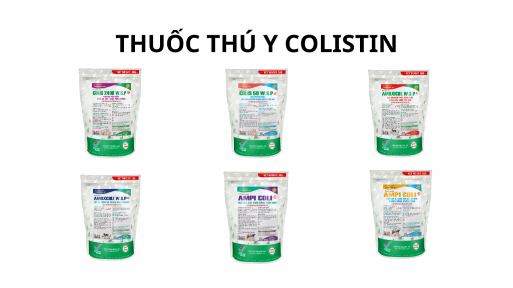 Các loại thuốc thú y Colistin