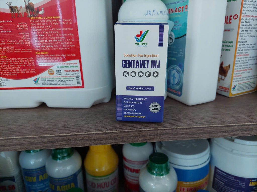 Các loại Gentamicin phở biến