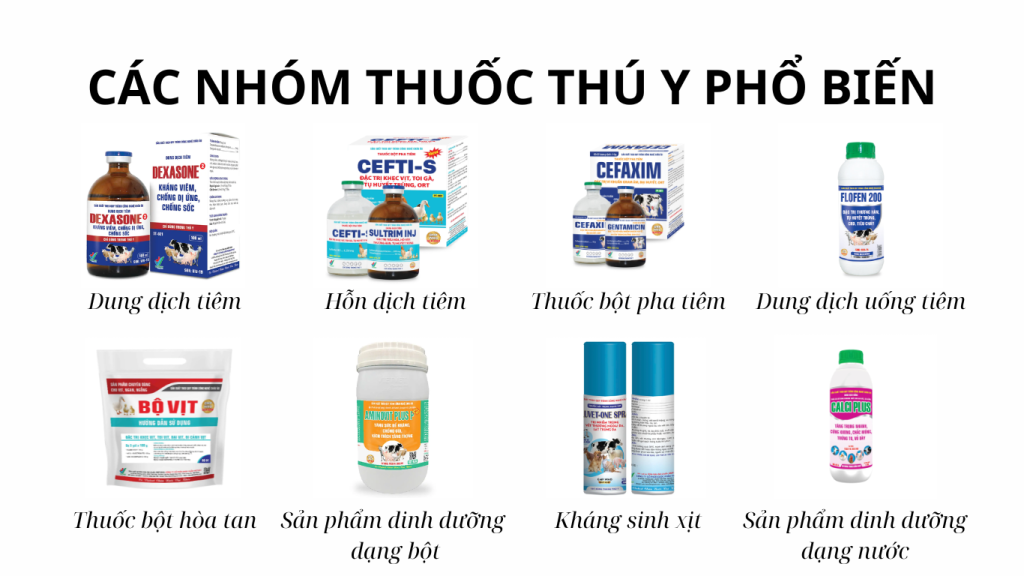 Các nhóm thuốc thú y phổ biến