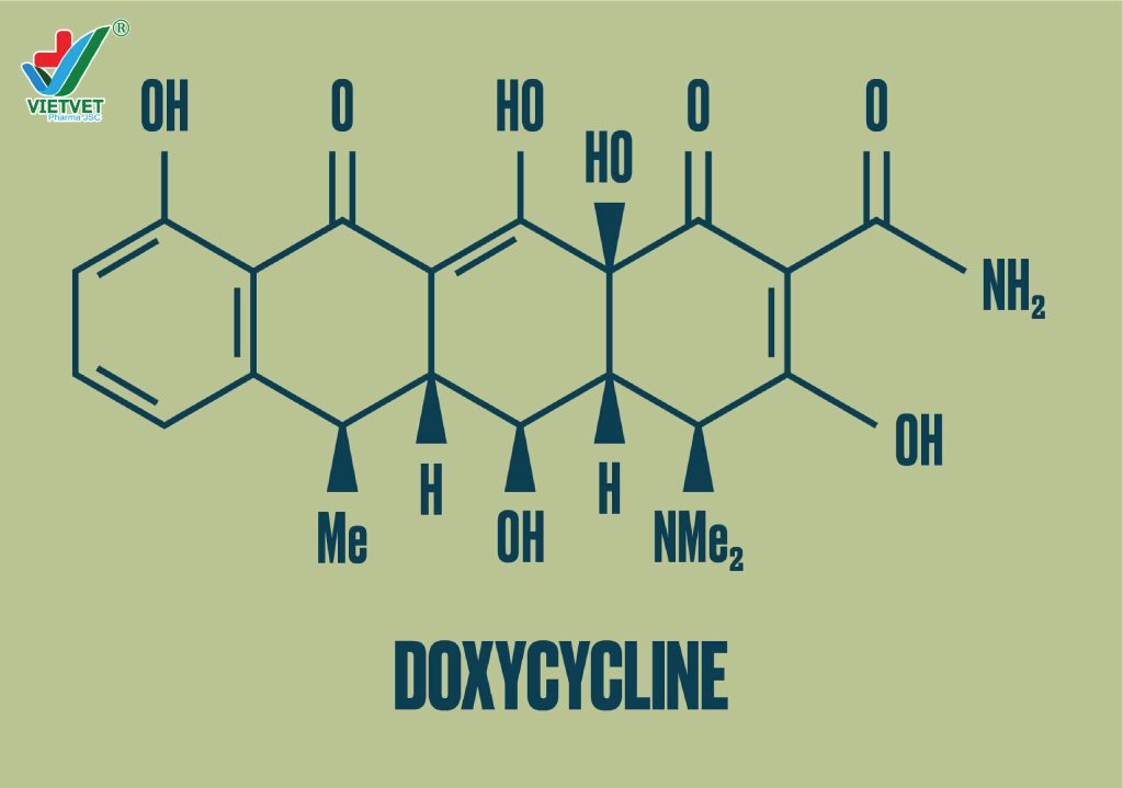 Doxycyline