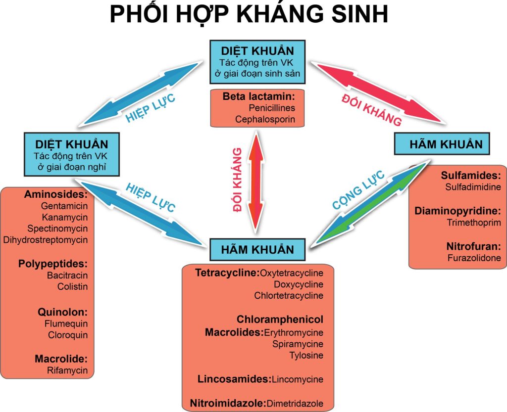 Phối hợp kháng sinh trong thú y