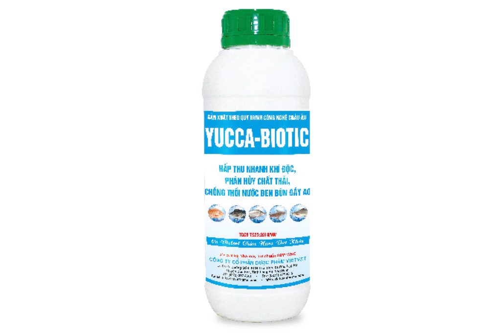 YUCCA BIOTIC hấp thu nhanh khí độc, phân hủy chất thải, chống thối nước đen bùn đáy ao