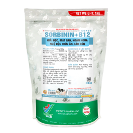 SORBININ+B12